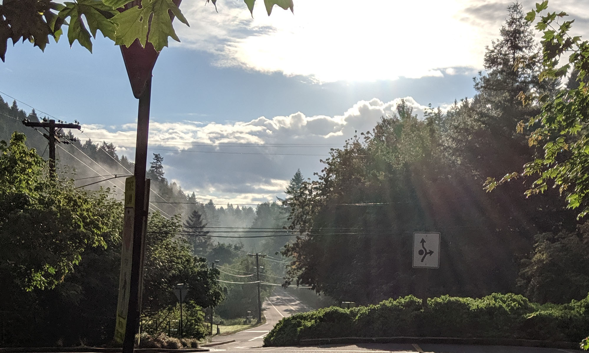 Lake Grove Zip at Bradley Spurgeon blog